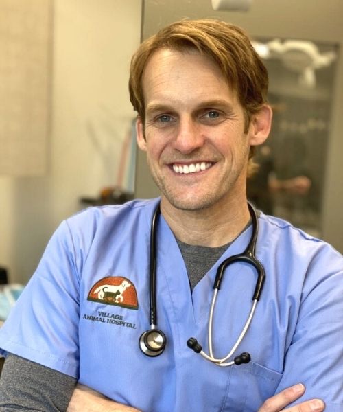 Dr. Matt Lindberg