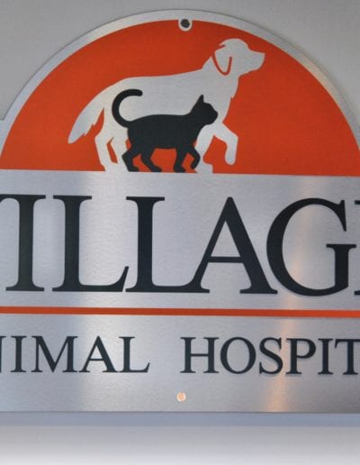 Minnetonka, MN Veterinary Hospital Tour - Village Animal Hospital